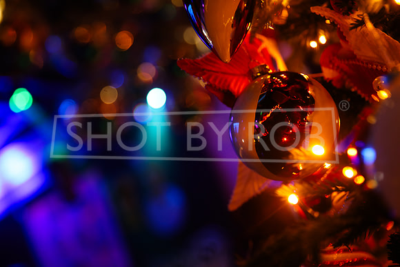 SHOT_BY_ROB-1610