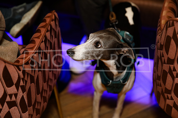 SHOT_BY_ROB-7567