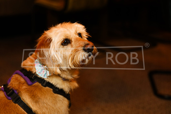 SHOT_BY_ROB-7033