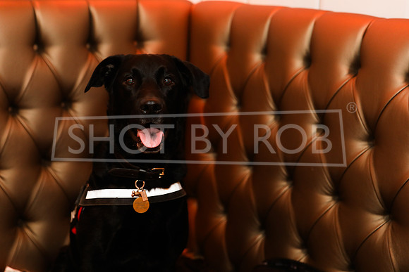 SHOT_BY_ROB-2873