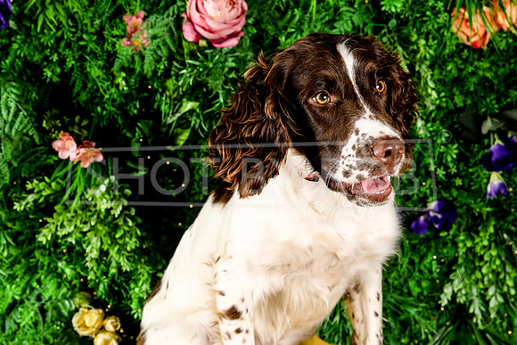 SHOT_BY_ROB-3353