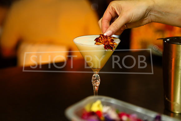 SHOT_BY_ROB-9027