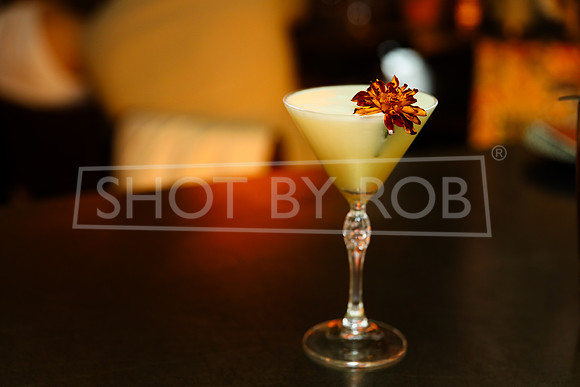 SHOT_BY_ROB-9028