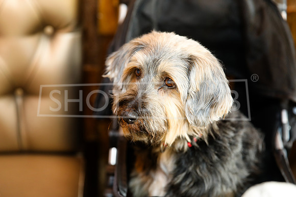 SHOT_BY_ROB-0451