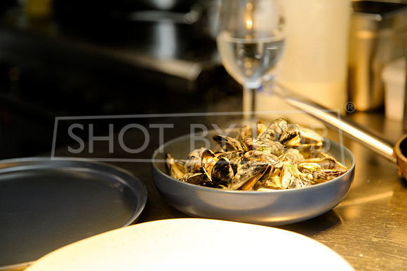 SHOT_BY_ROB-0516