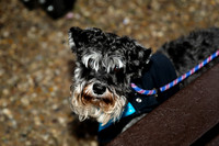 SHOT_BY_ROB-4842