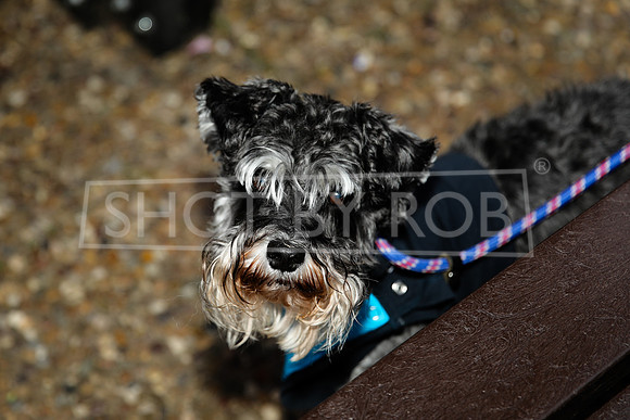 SHOT_BY_ROB-4842