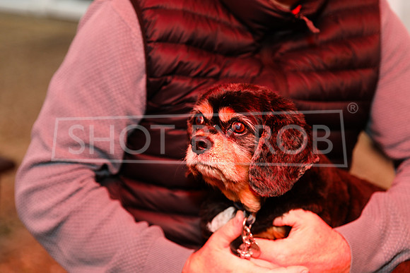 SHOT_BY_ROB-4833