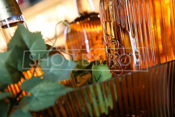 SHOT_BY_ROB-4978