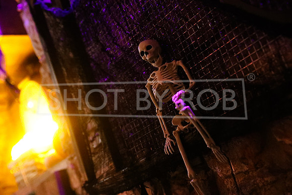 SHOT_BY_ROB-6344