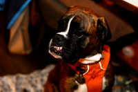 SHOT_BY_ROB-5962