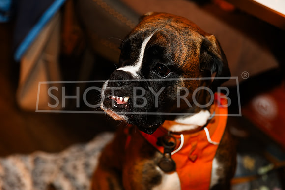 SHOT_BY_ROB-5962