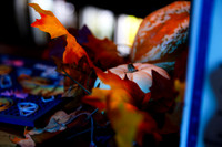 SHOT_BY_ROB-7107
