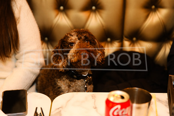 SHOT_BY_ROB-8453