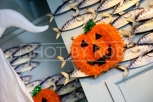 SHOT_BY_ROB-8516