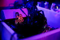 SHOT_BY_ROB-0477