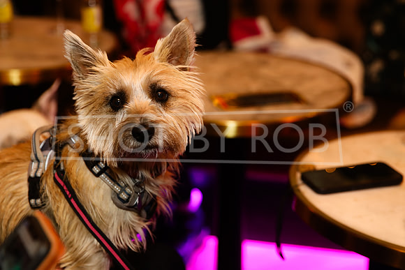 SHOT_BY_ROB-0951