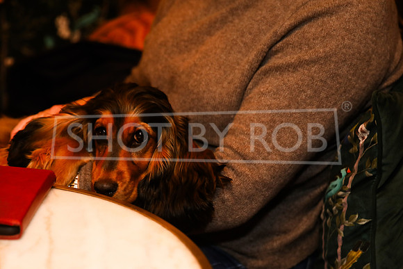 SHOT_BY_ROB-0953