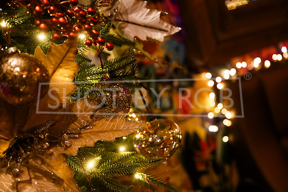SHOT_BY_ROB-0969