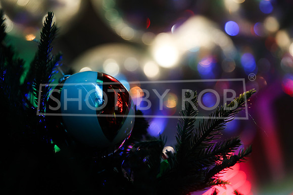 SHOT_BY_ROB-1600