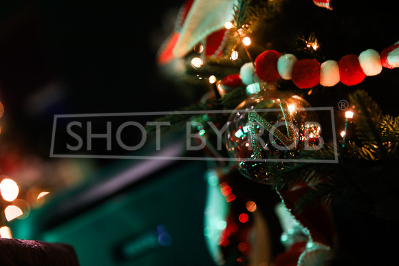 SHOT_BY_ROB-2005
