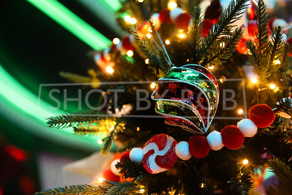 SHOT_BY_ROB-3823
