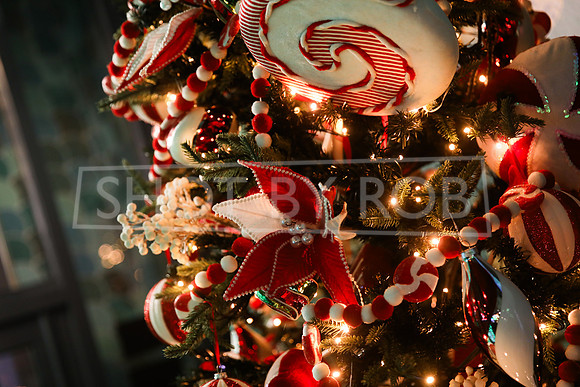 SHOT_BY_ROB-3375