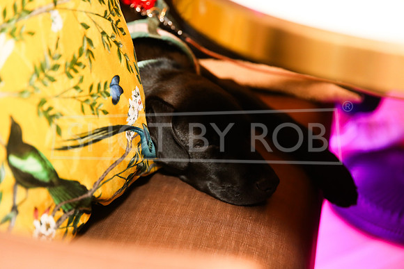 SHOT_BY_ROB-3319