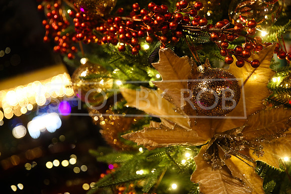 SHOT_BY_ROB-3323