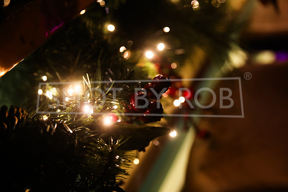 SHOT_BY_ROB-4069