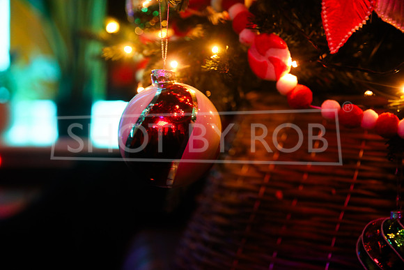 SHOT_BY_ROB-4138