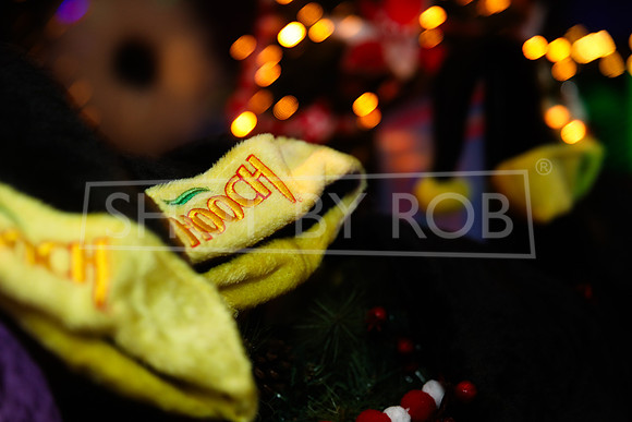 SHOT_BY_ROB-4686