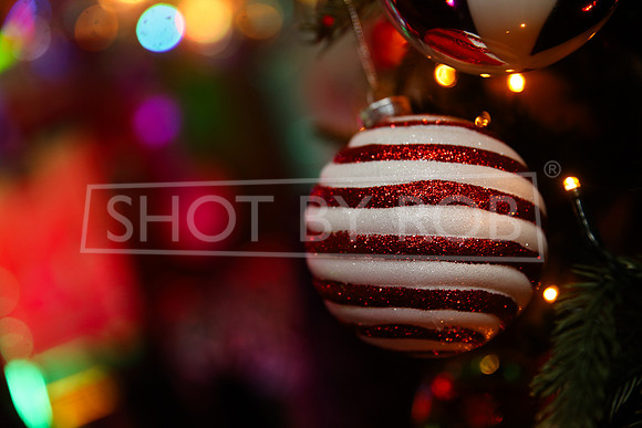 SHOT_BY_ROB-4998