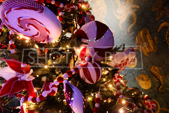 SHOT_BY_ROB-5404