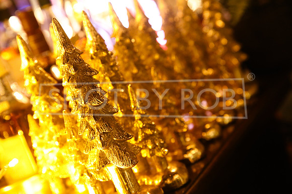 SHOT_BY_ROB-5379