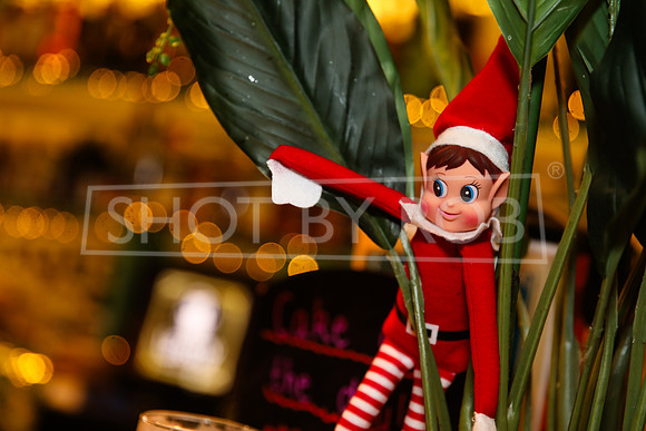 SHOT_BY_ROB-5283