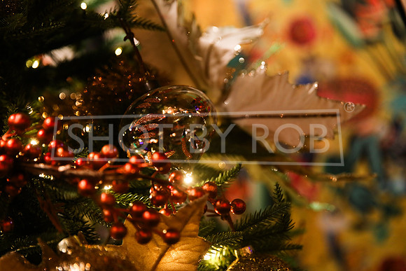 SHOT_BY_ROB-5298