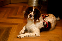 SHOT_BY_ROB-7727
