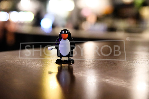 SHOT_BY_ROB-9479