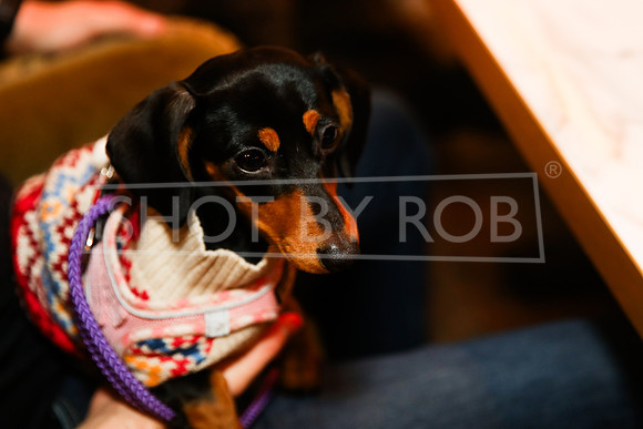 SHOT_BY_ROB-9199