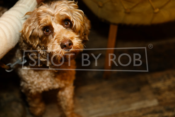 SHOT_BY_ROB-9200