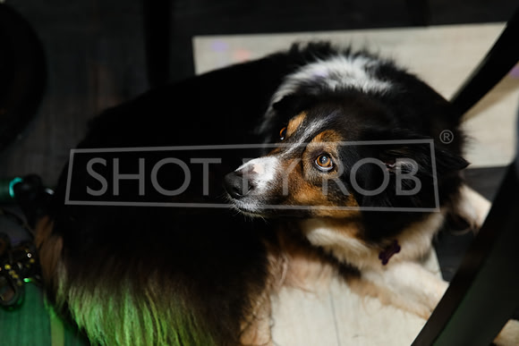 SHOT_BY_ROB-9310