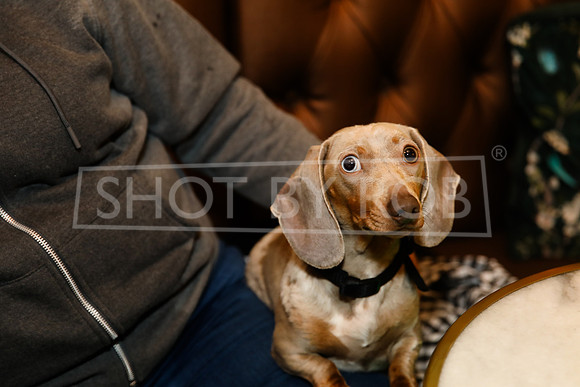 SHOT_BY_ROB-0155