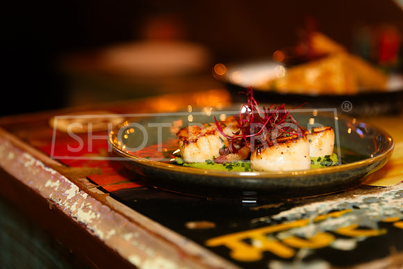 SHOT_BY_ROB-1592