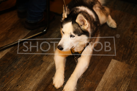 SHOT_BY_ROB-1605