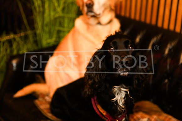 SHOT_BY_ROB-1540