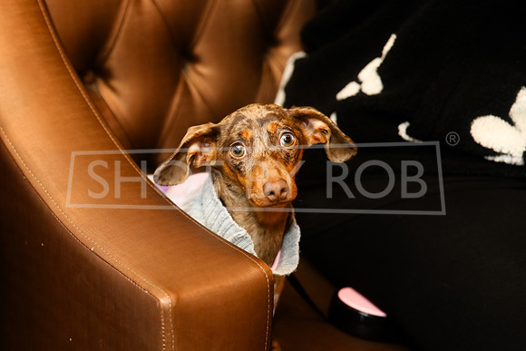 SHOT_BY_ROB-3702