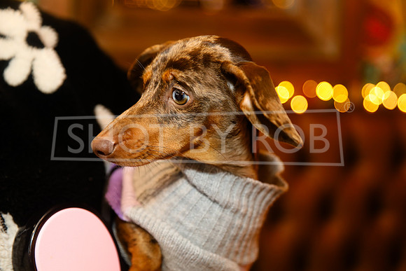 SHOT_BY_ROB-3686