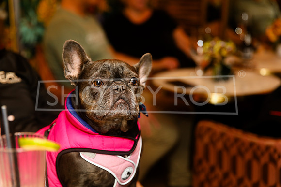 SHOT_BY_ROB-5632