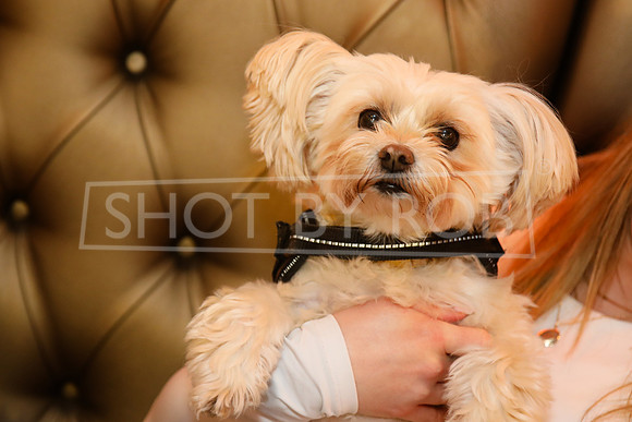 SHOT_BY_ROB-6281